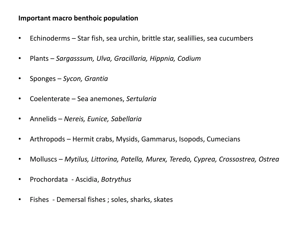 important macro benthoic population