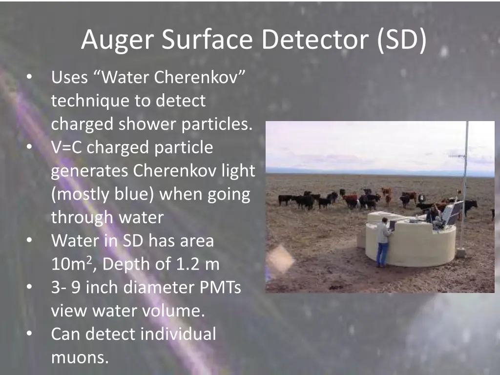 auger surface detector sd