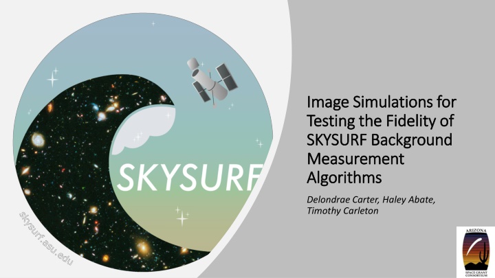 image simulations for image simulations