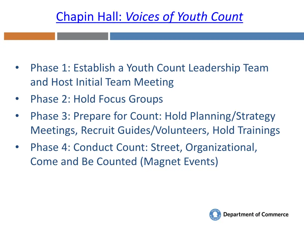 chapin hall voices of youth count