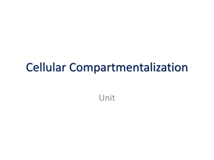 cellular compartmentalization