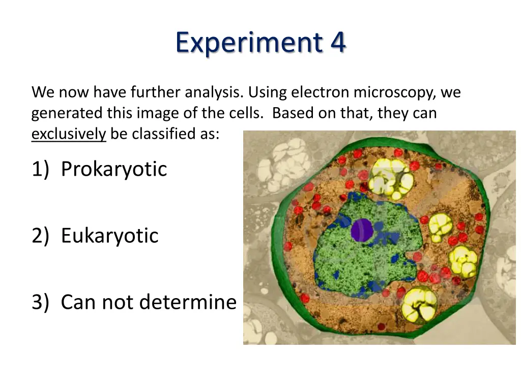 experiment 4