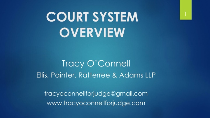 court system overview