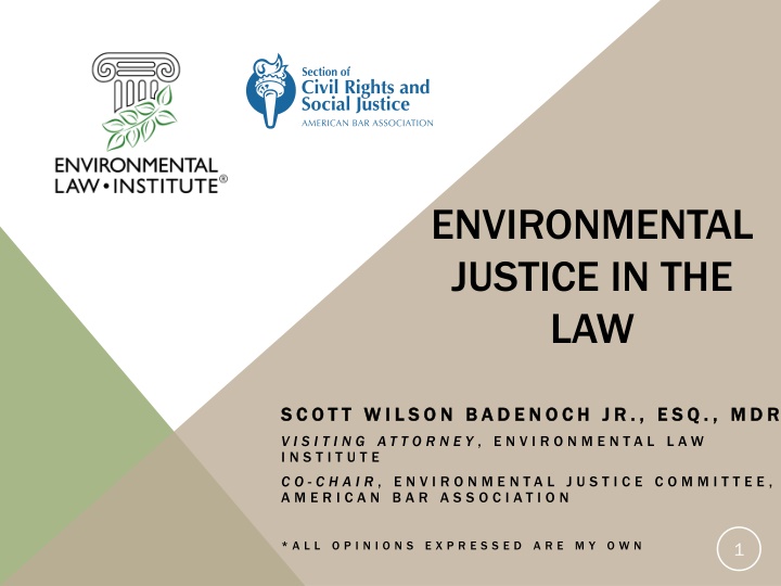 environmental justice in the law