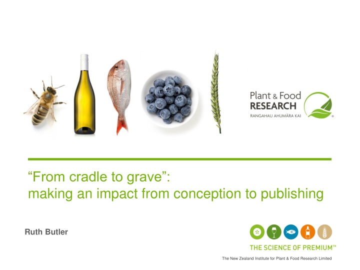 from cradle to grave making an impact from