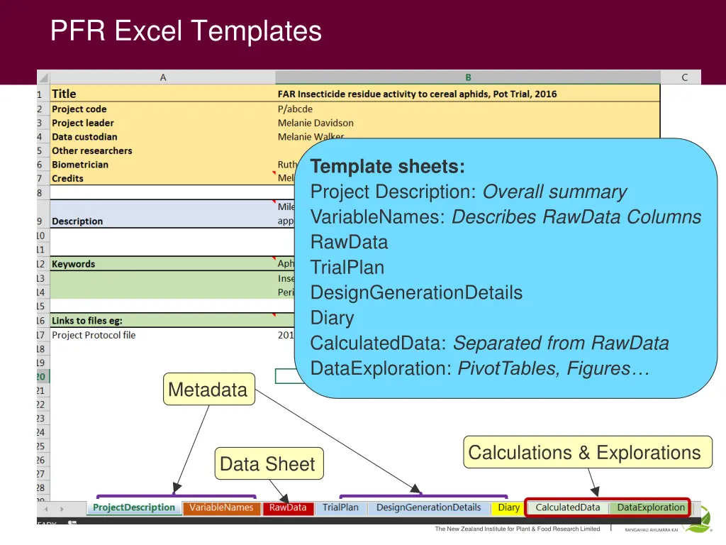 pfr excel templates