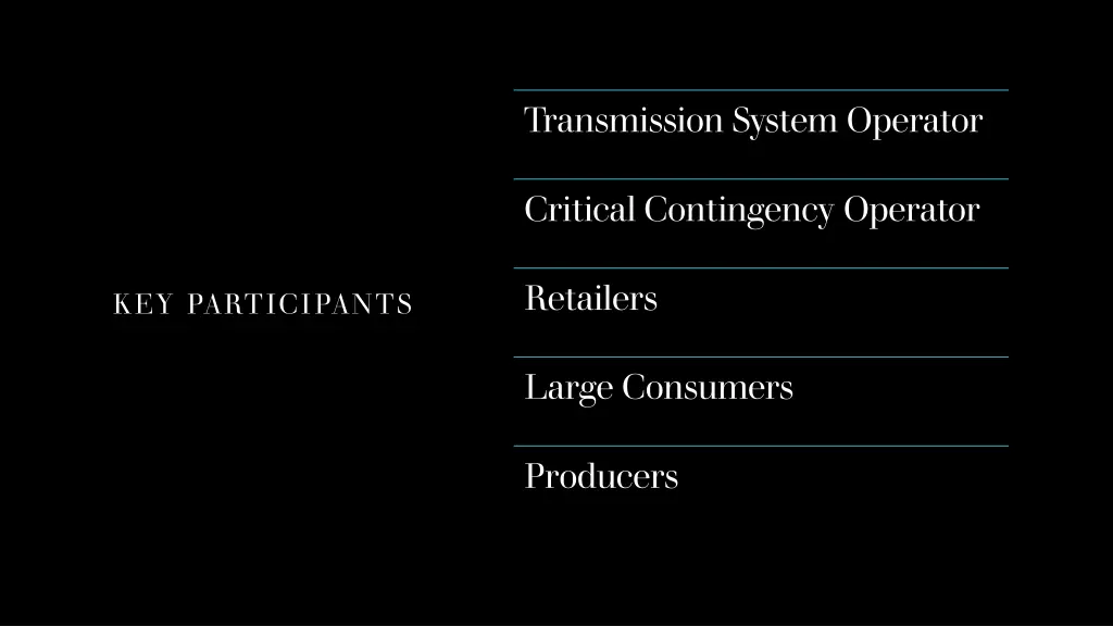 transmission system operator