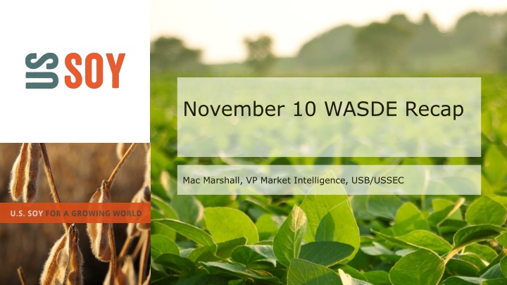 november 10 wasde recap