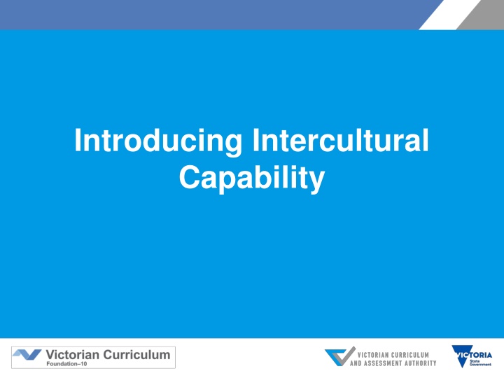 introducing intercultural capability