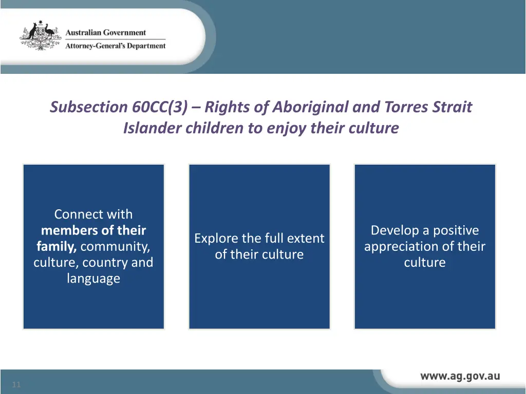 subsection 60cc 3 rights of aboriginal and torres