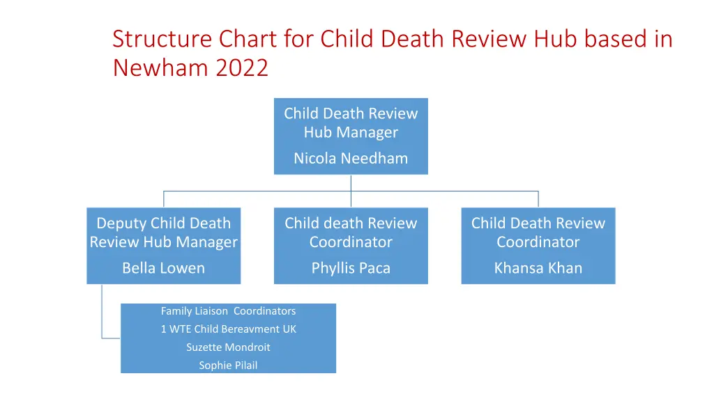 structure chart for child death review hub based