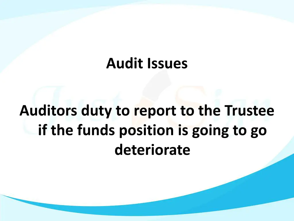 audit issues