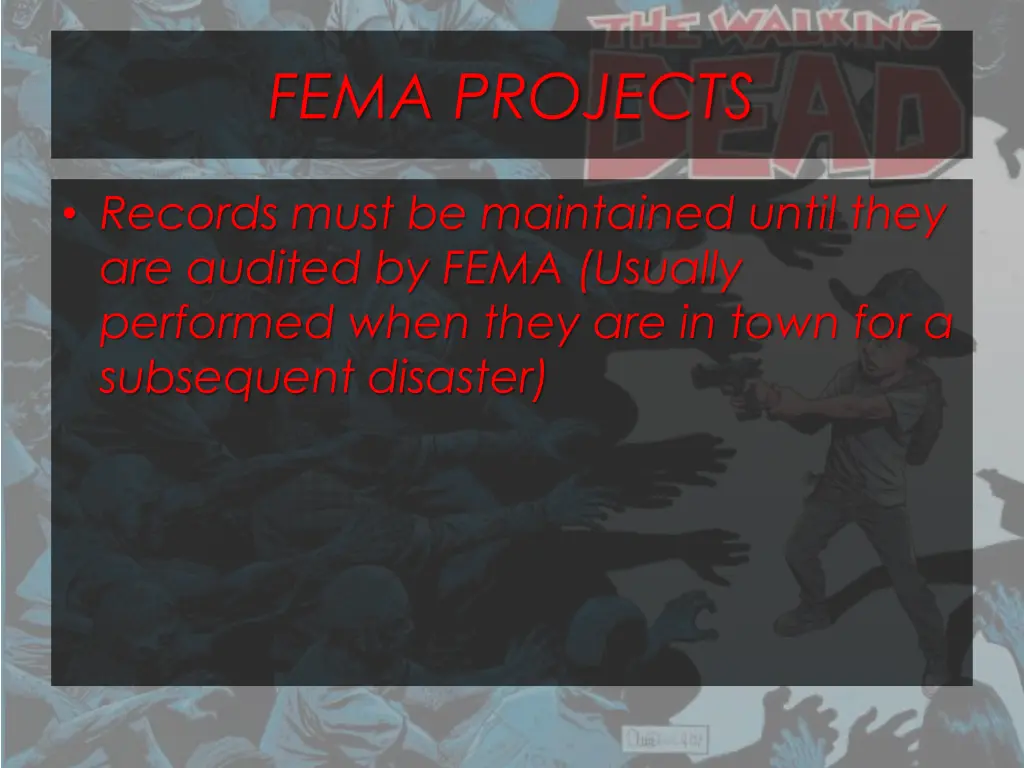 fema projects