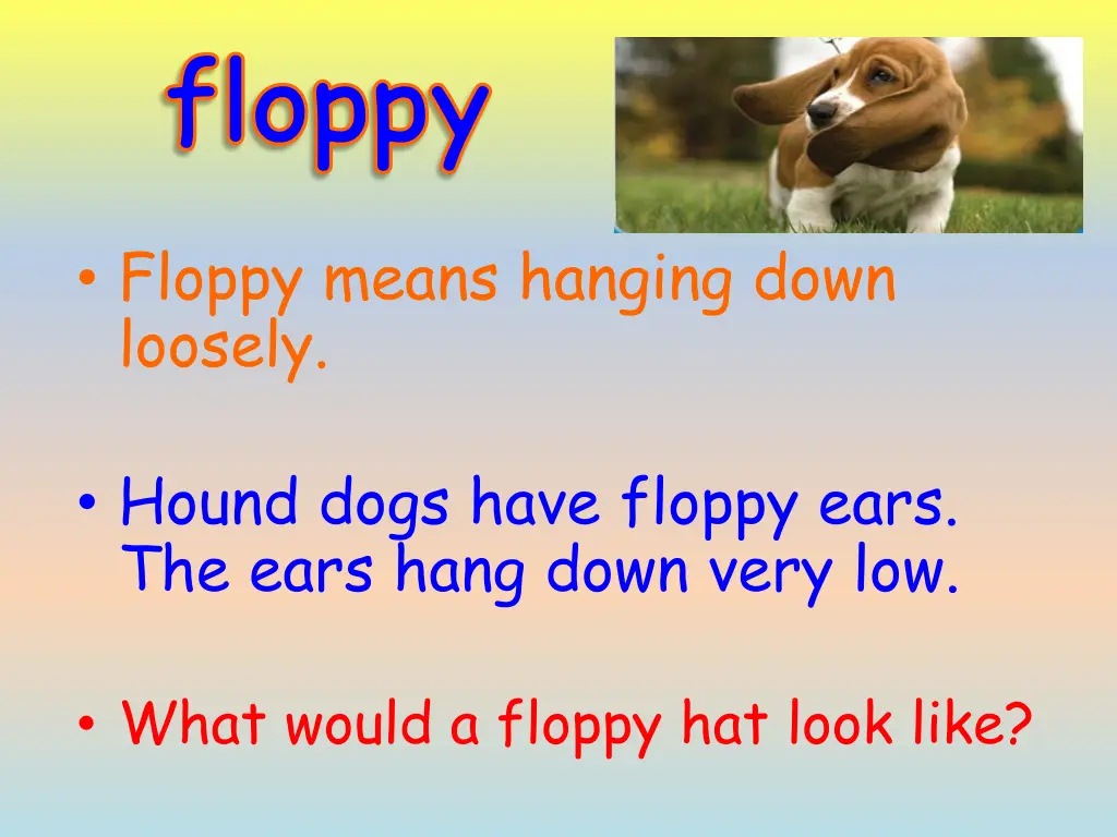 floppy