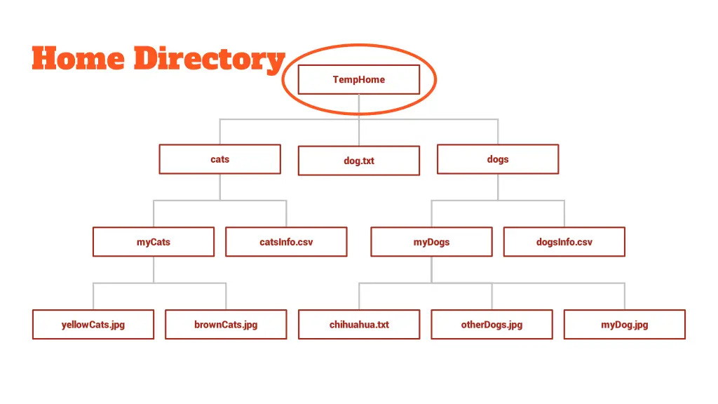 home directory