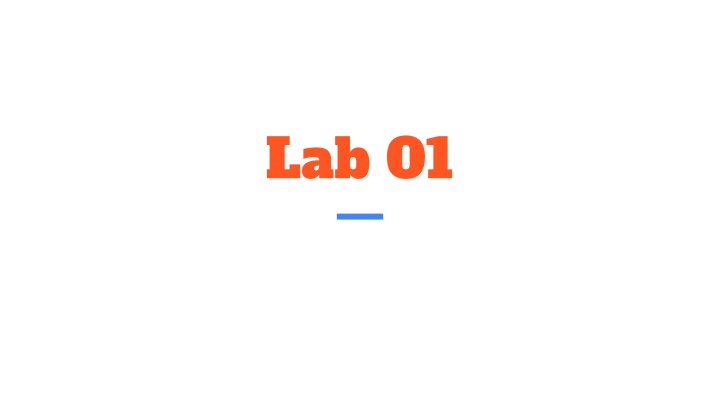 lab 01