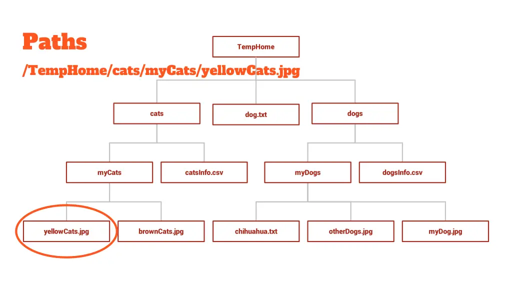 paths temphome cats mycats yellowcats jpg