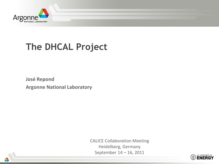 the dhcal project