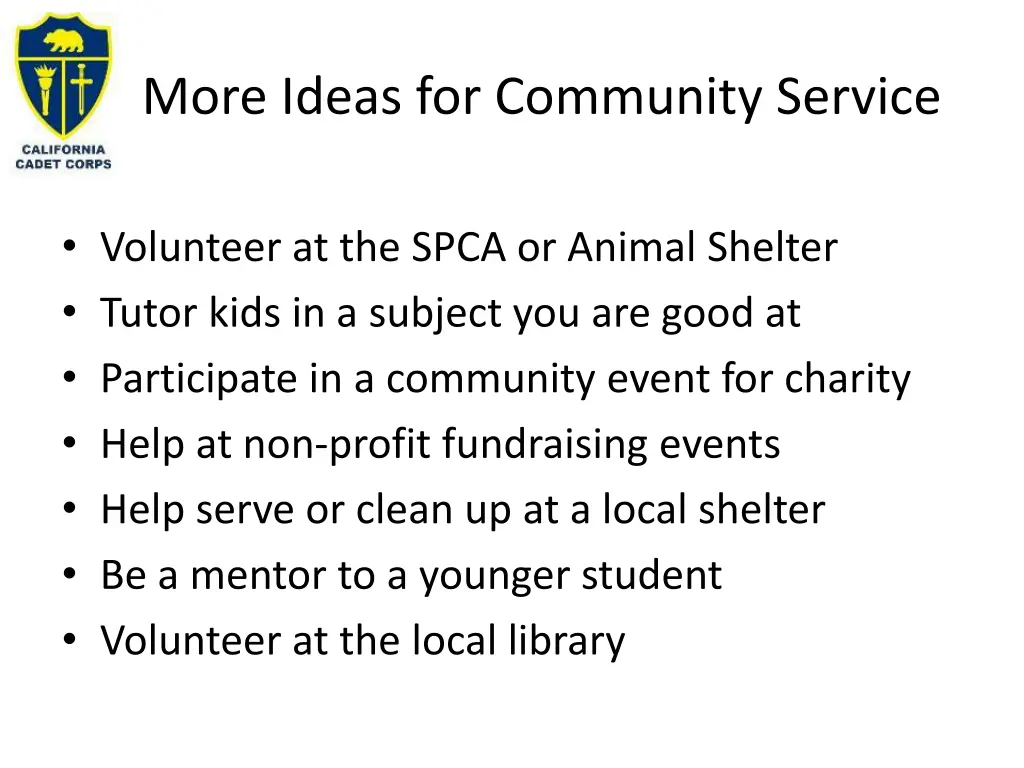 more ideas for community service