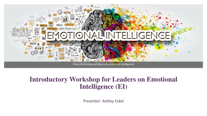 https whiteraycoaching com emotional intelligence