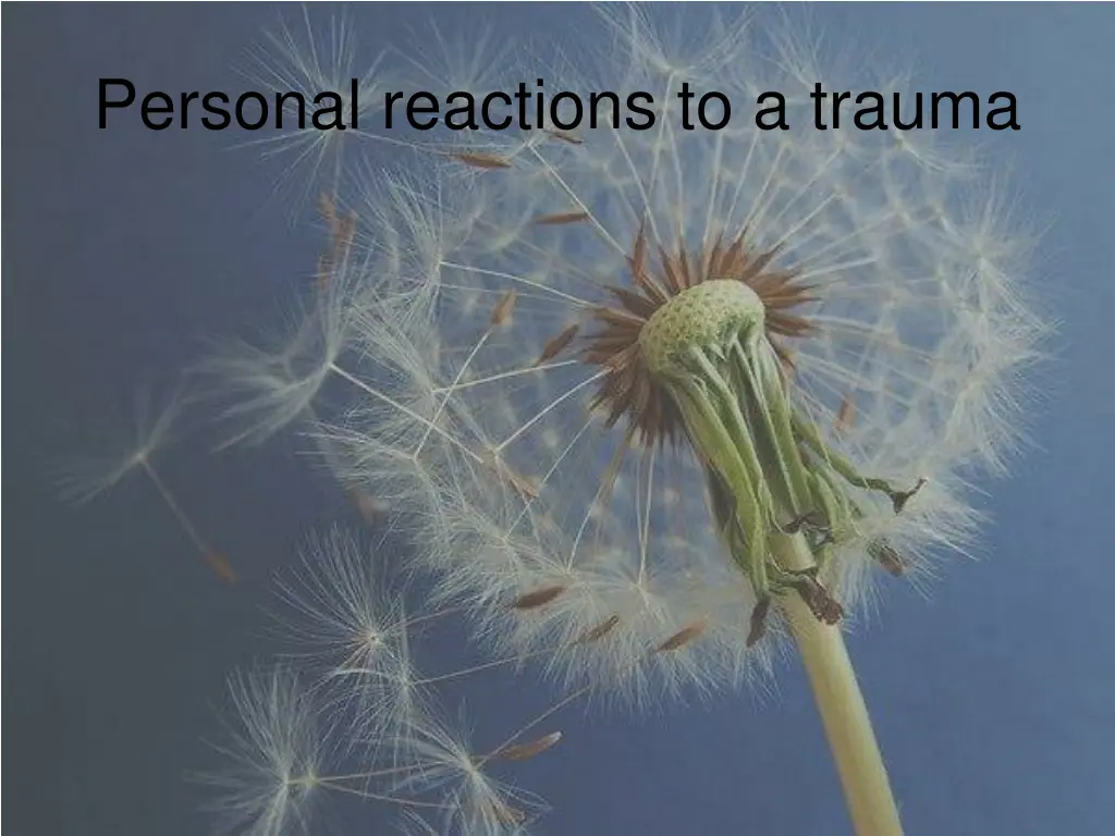 personal reactions to a trauma