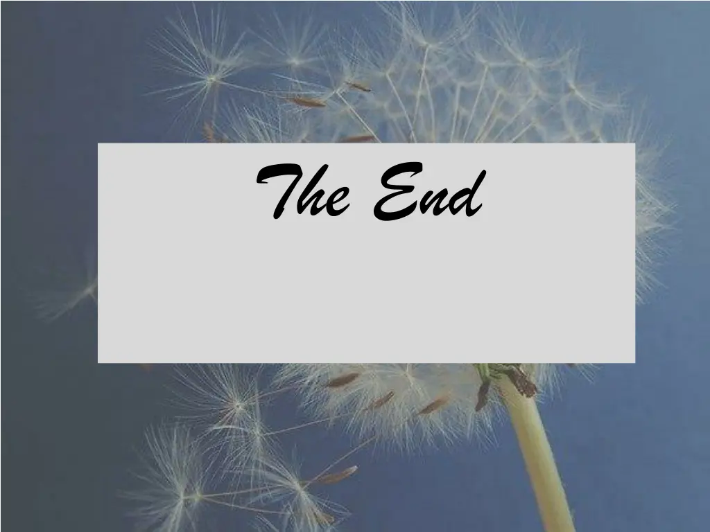 the end