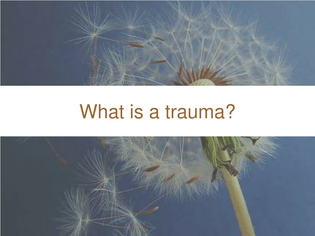 what is a trauma