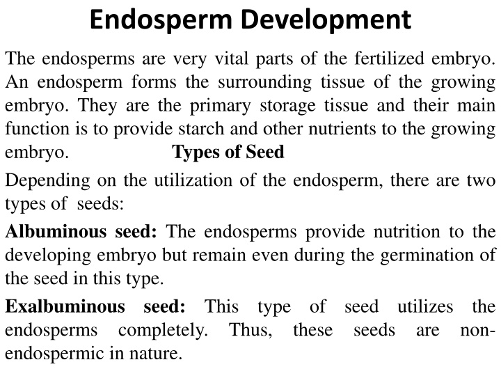 endosperm development