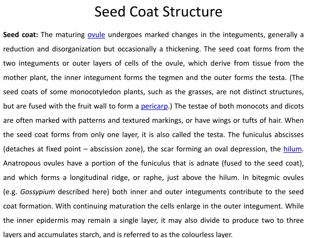 seed coat structure