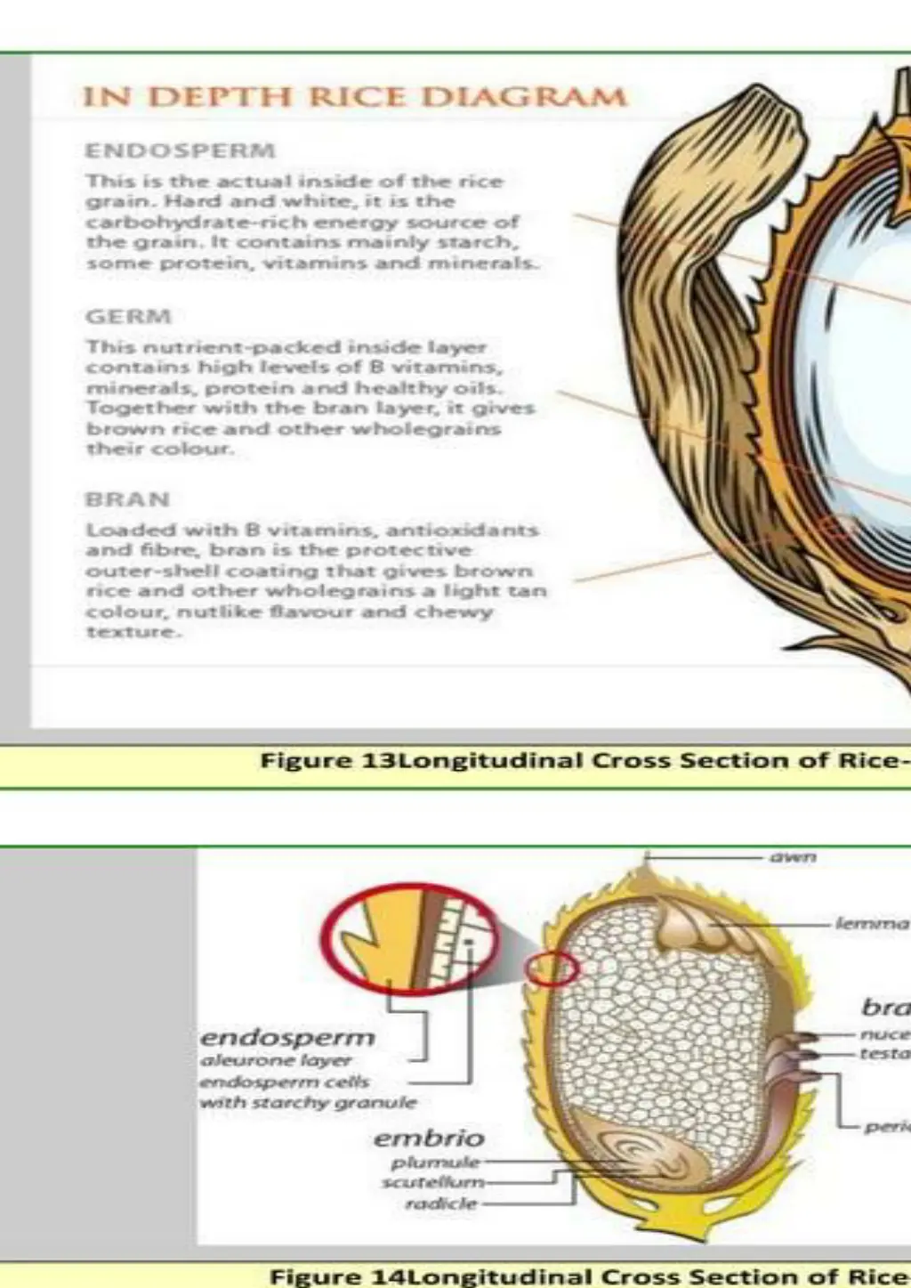 slide7