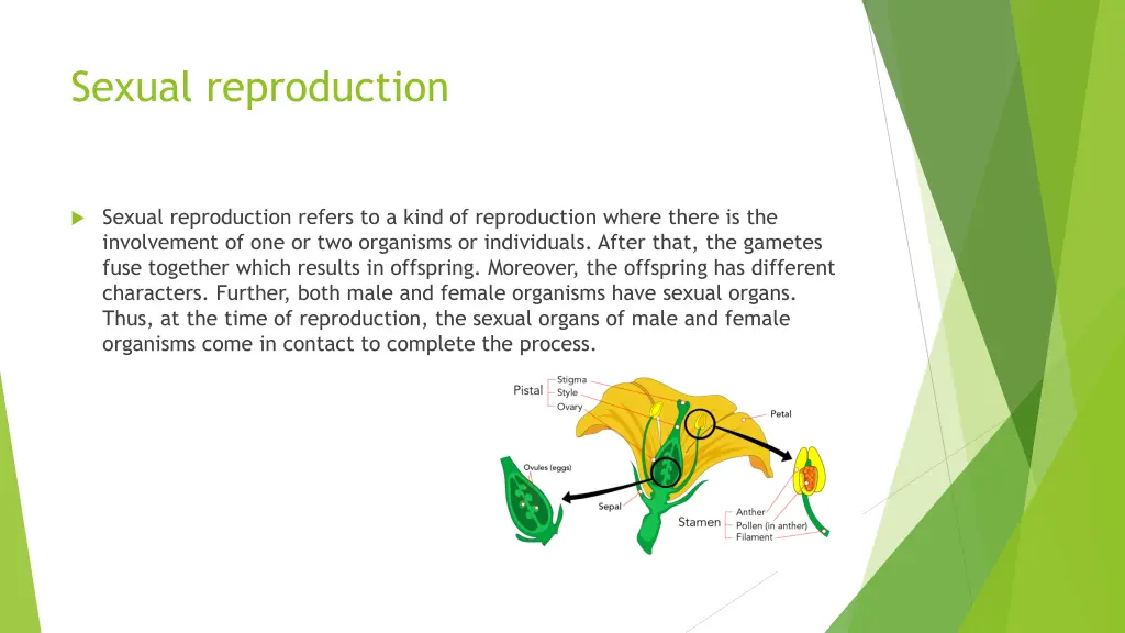 sexual reproduction