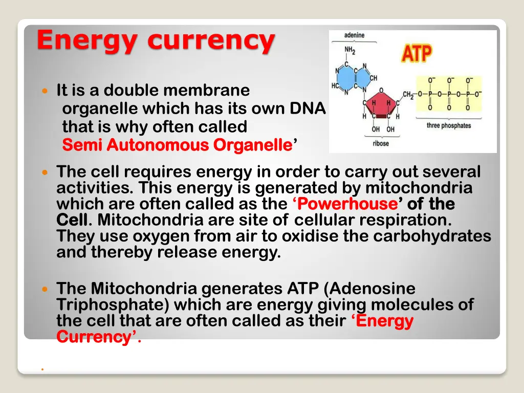 energy currency