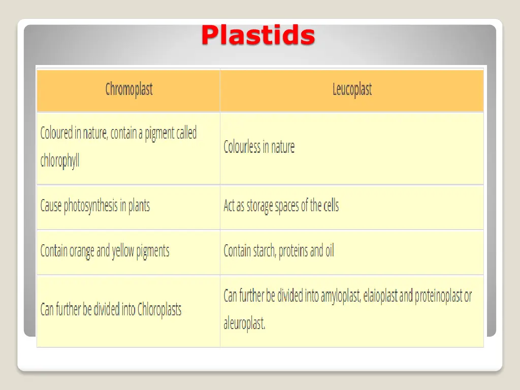 plastids