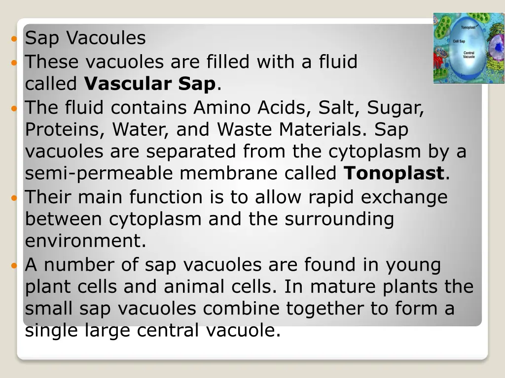 sap vacoules these vacuoles are filled with