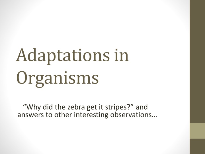 adaptations in organisms