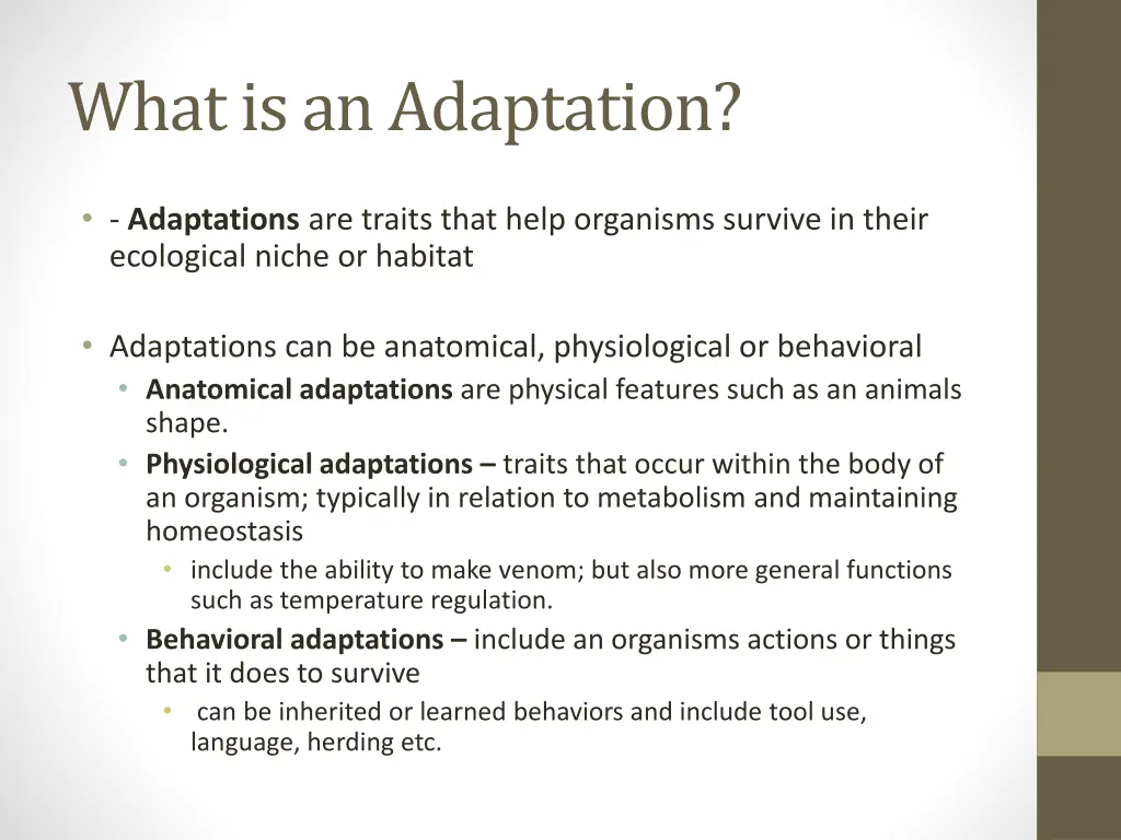 what is an adaptation