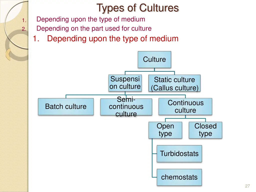 types of cultures