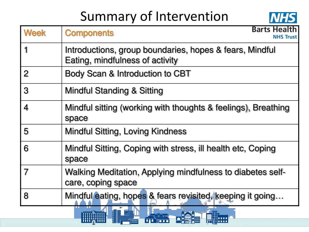 summary of intervention components