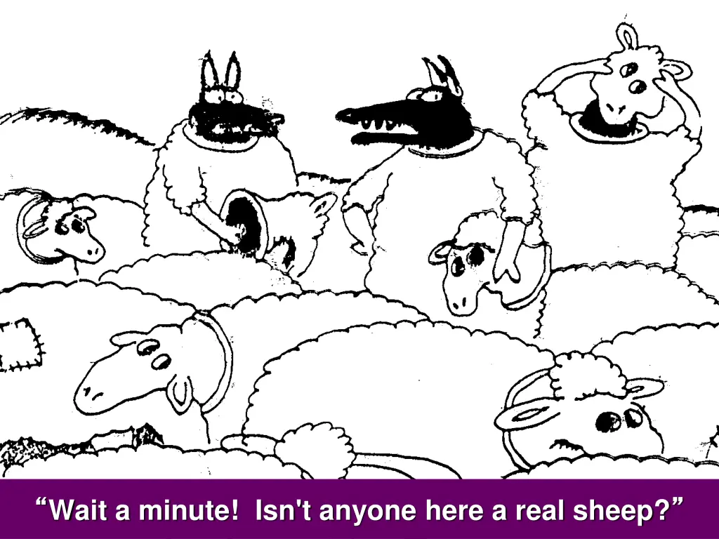 wait a minute isn t anyone here a real sheep