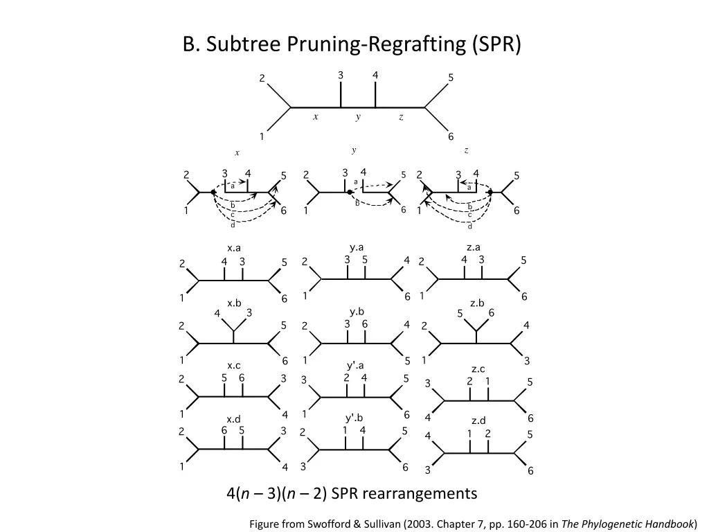 b subtree pruning regrafting spr