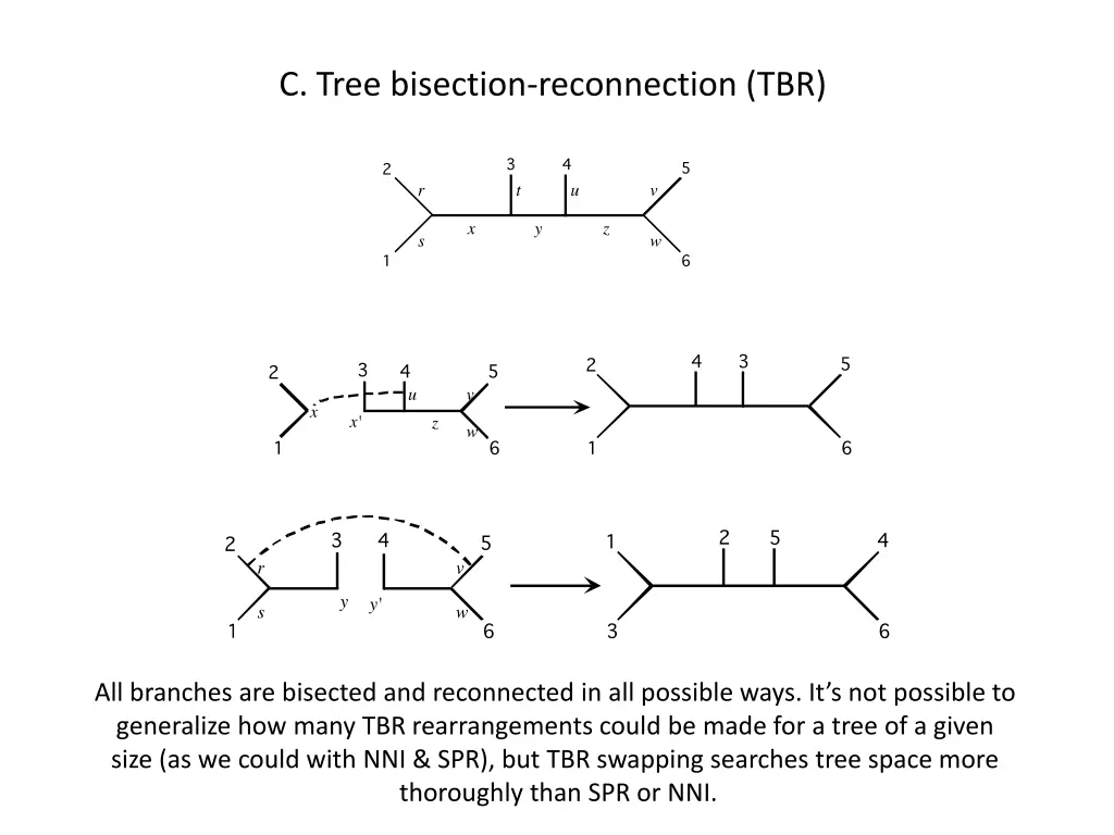 c tree bisection reconnection tbr