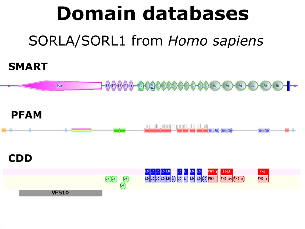 domain databases 1