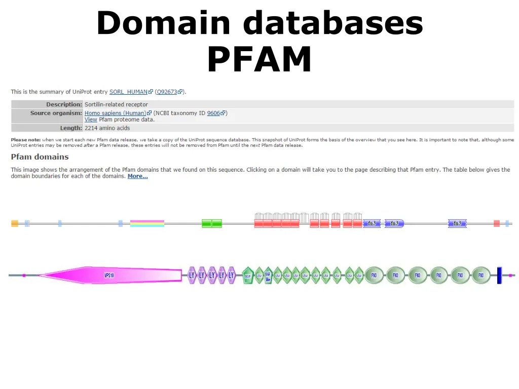 domain databases pfam