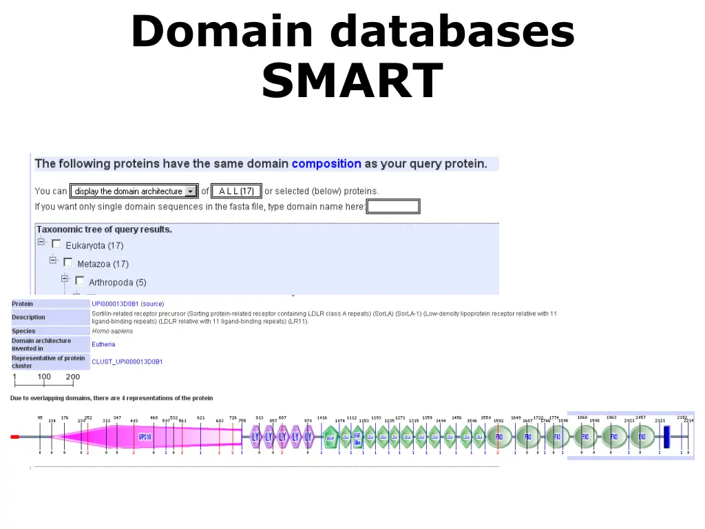 domain databases smart 3