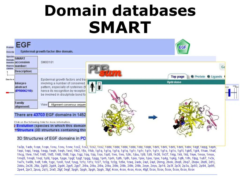 domain databases smart 4