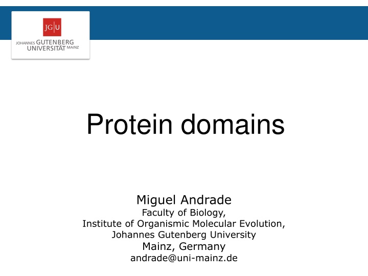 protein domains