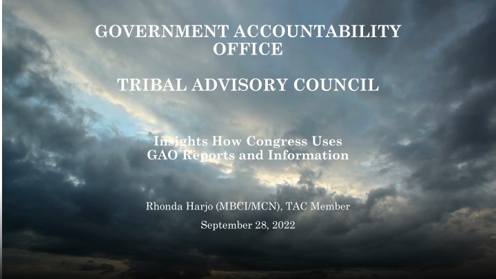 government accountability office