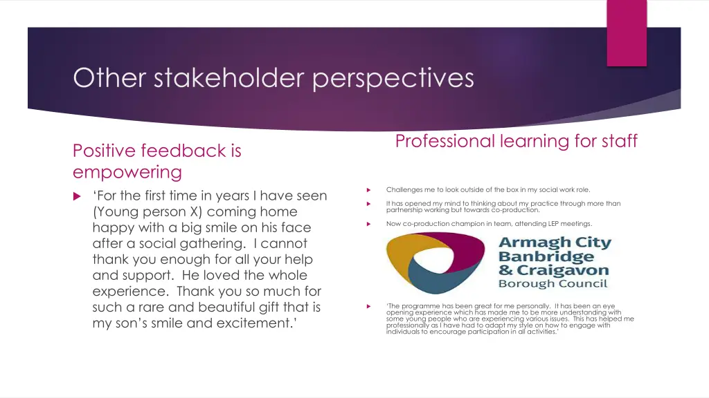 other stakeholder perspectives