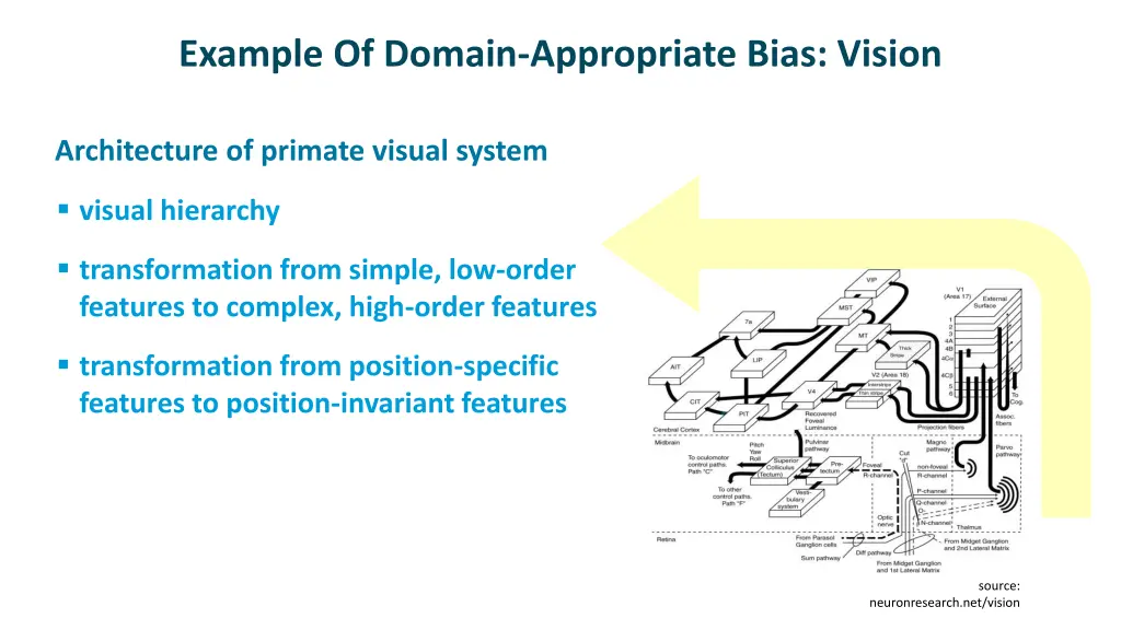 example of domain appropriate bias vision