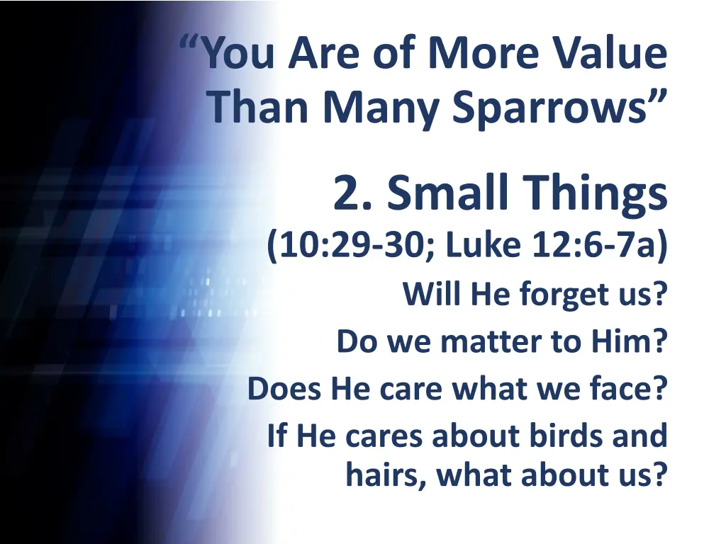 you are of more value than many sparrows 6